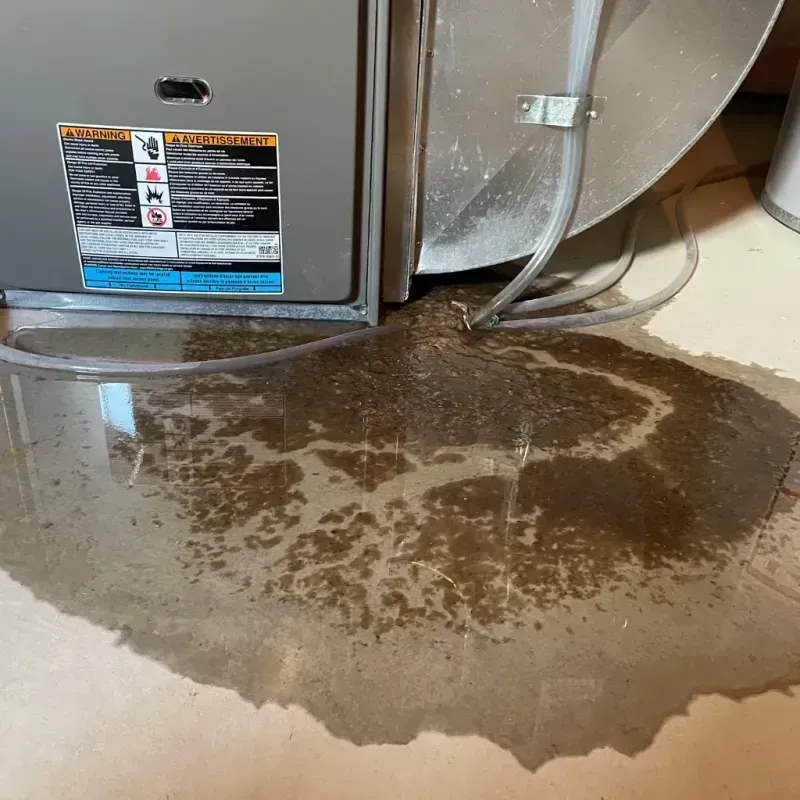 Appliance Leak Cleanup in Antelope, CA